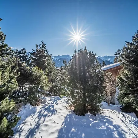 Snowcrest, Verbier- By Emerald Daire